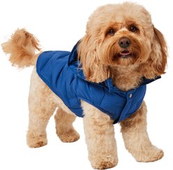 Frisco Mediumweight Quilted Dog & Cat Puffer with Removable Hood, Blue, Medium