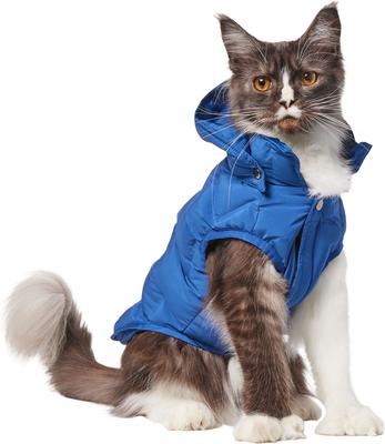Show full view: Frisco Mediumweight Quilted Dog & Cat Puffer with Removable Hood, Blue, Medium slide 2 of 12