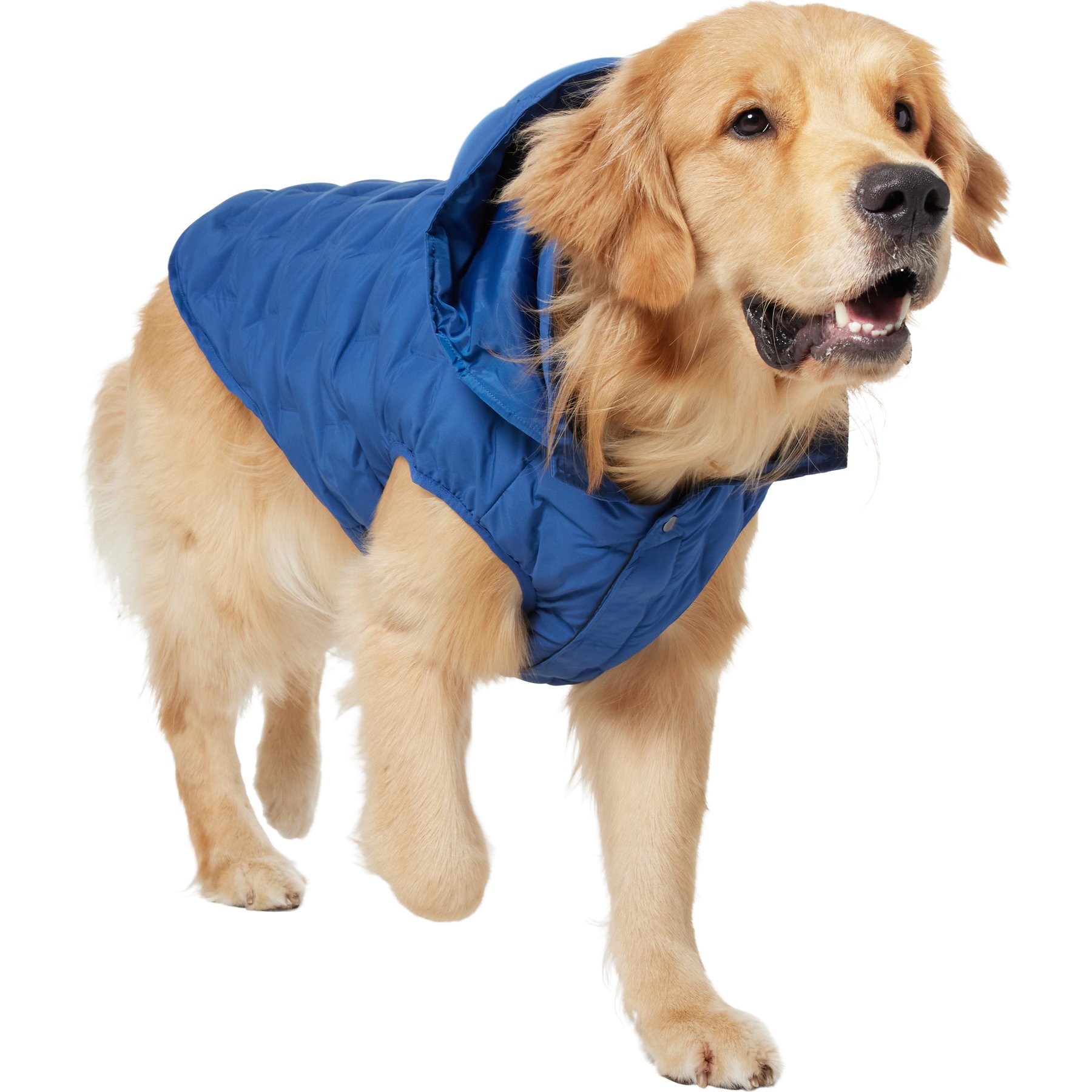 Frisco Mediumweight Quilted Dog & Cat Puffer with Removable Hood, Blue, XX-Large