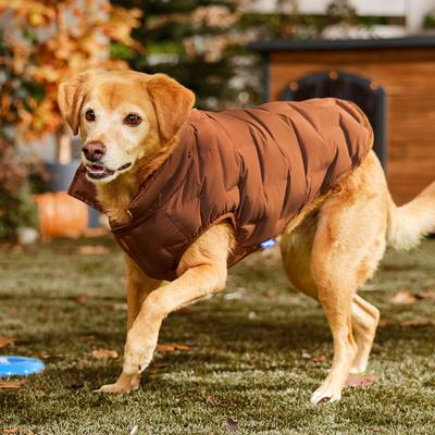 Show full view: Frisco Mediumweight Quilted Dog & Cat Puffer with Removable Hood, Brown, Large slide 8 of 12