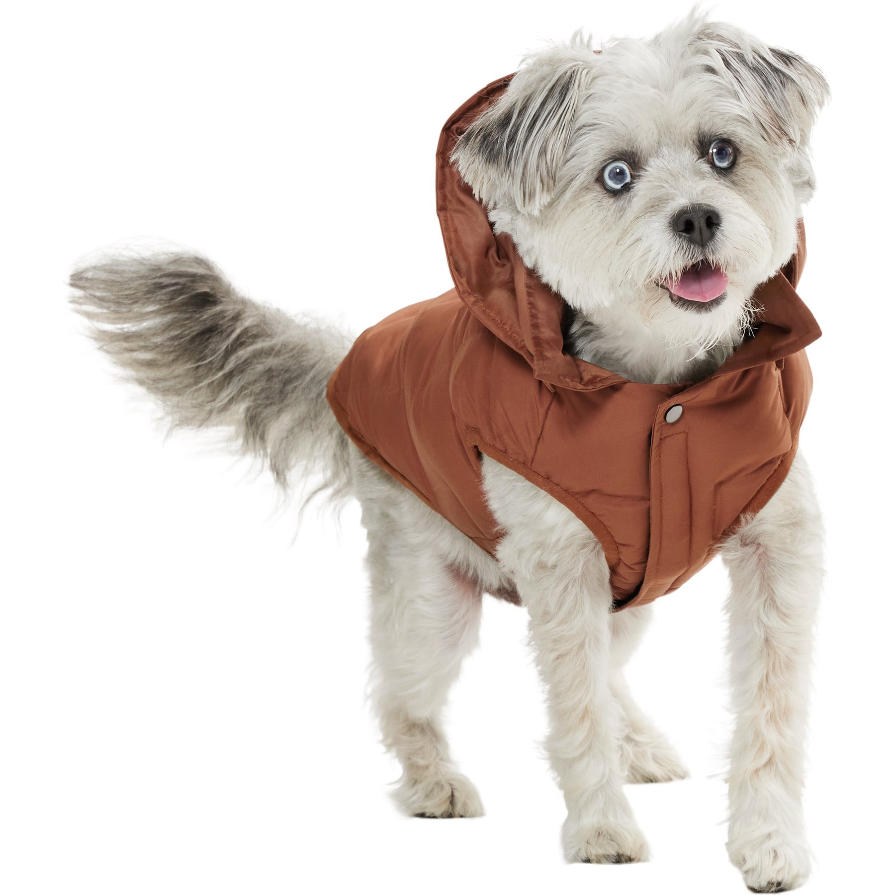 Frisco Mediumweight Quilted Dog & Cat Puffer with Removable Hood, Brown, Medium