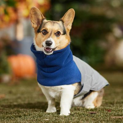 Show full view: Frisco Mediumweight Reflective Fleece Lined Quilted Dog & Cat Coat, Gray, Medium slide 9 of 13