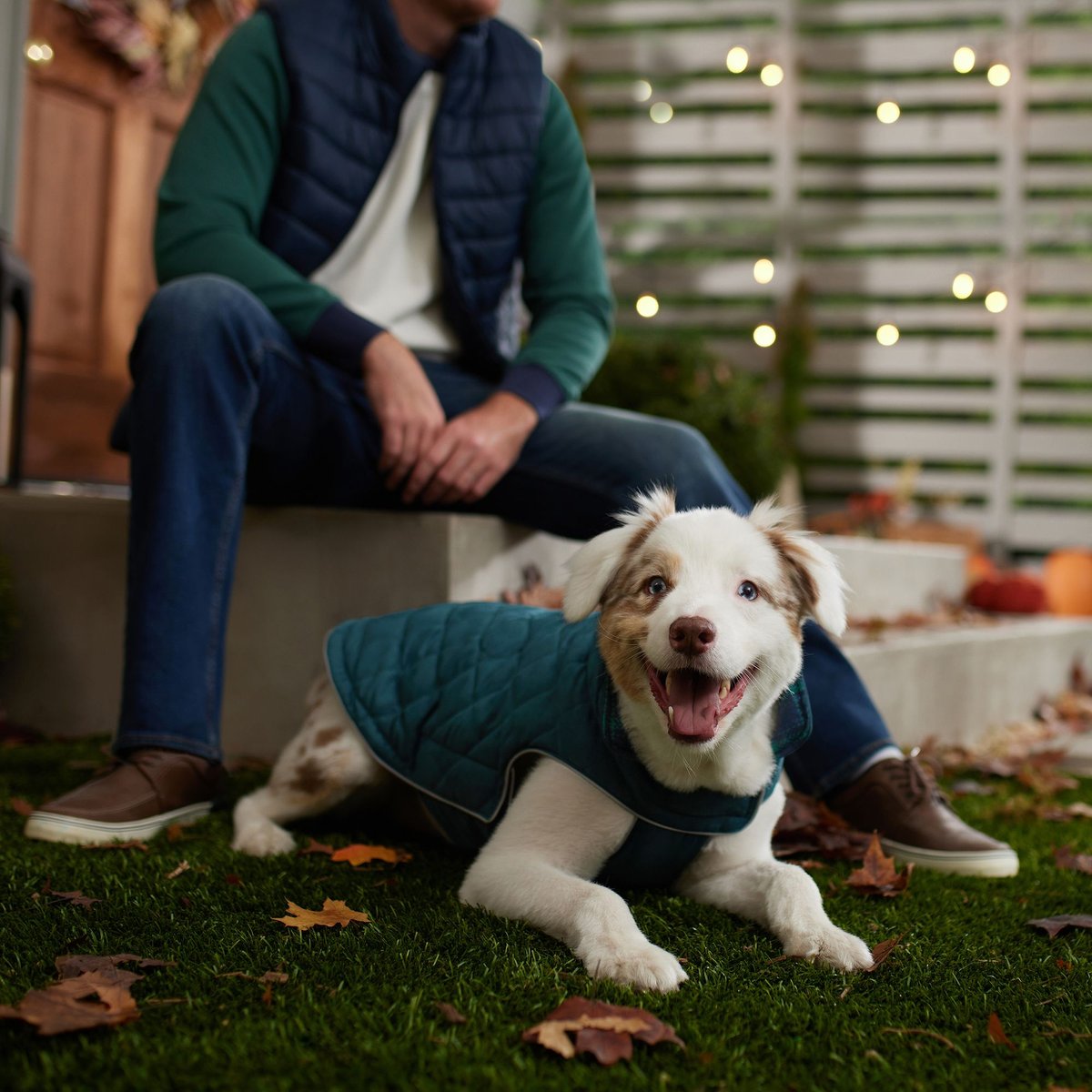 Frisco Mediumweight Reversible Dog & Cat Coat