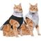 Show in main carousel: Frisco Mediumweight Reversible Two-Tone Fleece & Sherpa Dog & Cat Vest, Black, Small slide 1 of 11