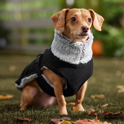 Show full view: Frisco Mediumweight Reversible Two-Tone Fleece & Sherpa Dog & Cat Vest, Black, Small slide 8 of 11
