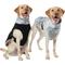Show in main carousel: Frisco Mediumweight Reversible Two-Tone Fleece & Sherpa Dog & Cat Vest, Black, X-Large slide 1 of 11