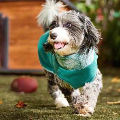 Show full view: Frisco Mediumweight Reversible Two-Tone Fleece & Sherpa Dog & Cat Vest, Teal, Large slide 7 of 10