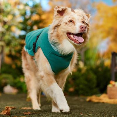 Show full view: Frisco Mediumweight Reversible Two-Tone Fleece & Sherpa Dog & Cat Vest, Teal, X-Large slide 7 of 10