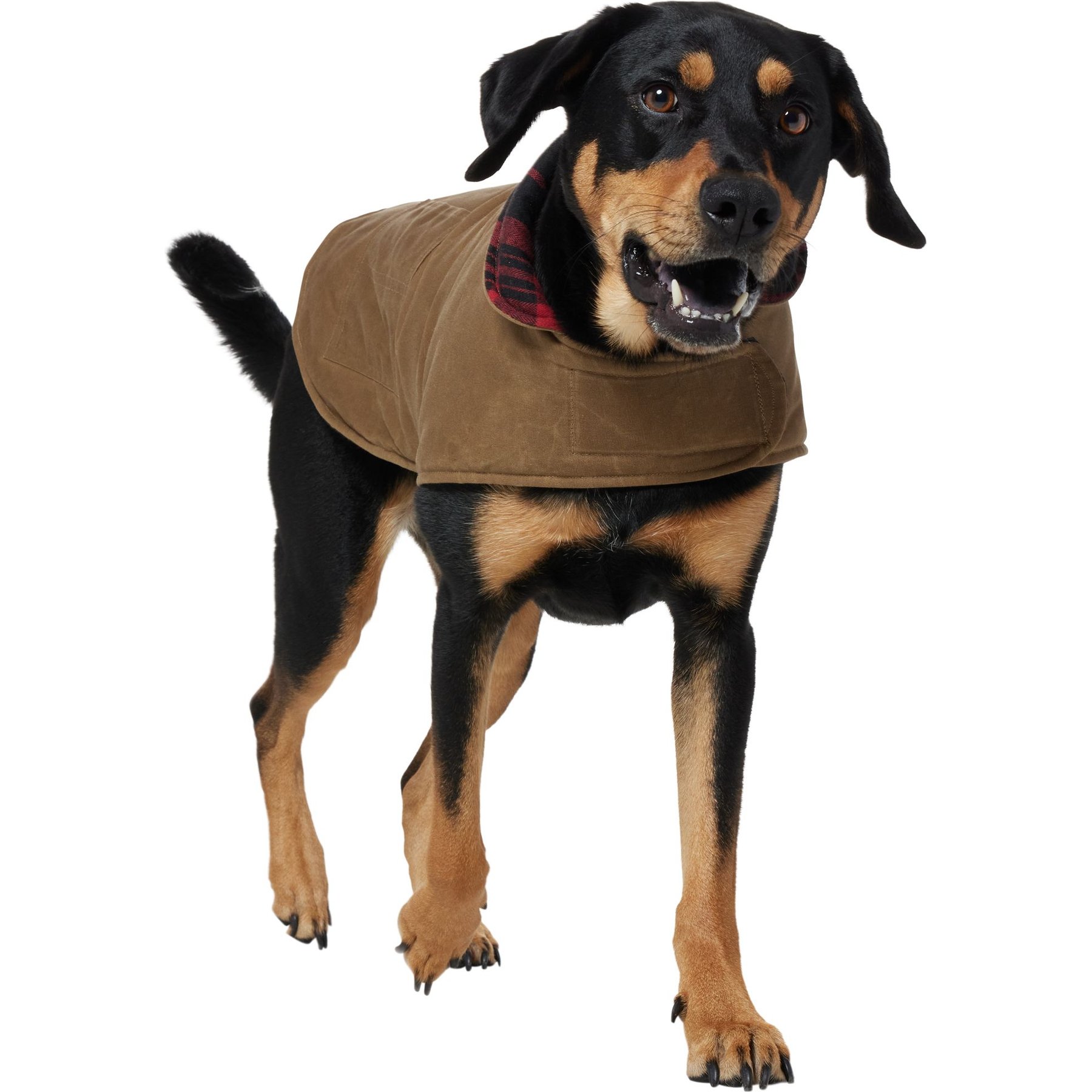 Frisco Mediumweight Waxed Canvas Dog & Cat Flannel Lined Coat, Tan, X-Large