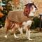 Show in main carousel: Frisco Mediumweight Waxed Canvas Dog & Cat Flannel Lined Coat, Tan, XX-Large slide 7 of 11