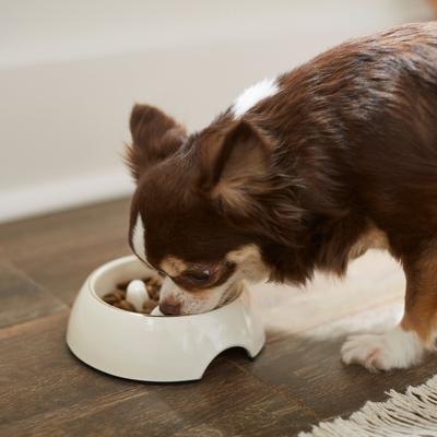 Show full view: Frisco Melamine Slow Feed Dog & Cat Bowl with Gold Trim, Cream, X-Small: 0.5 cup slide 3 of 10