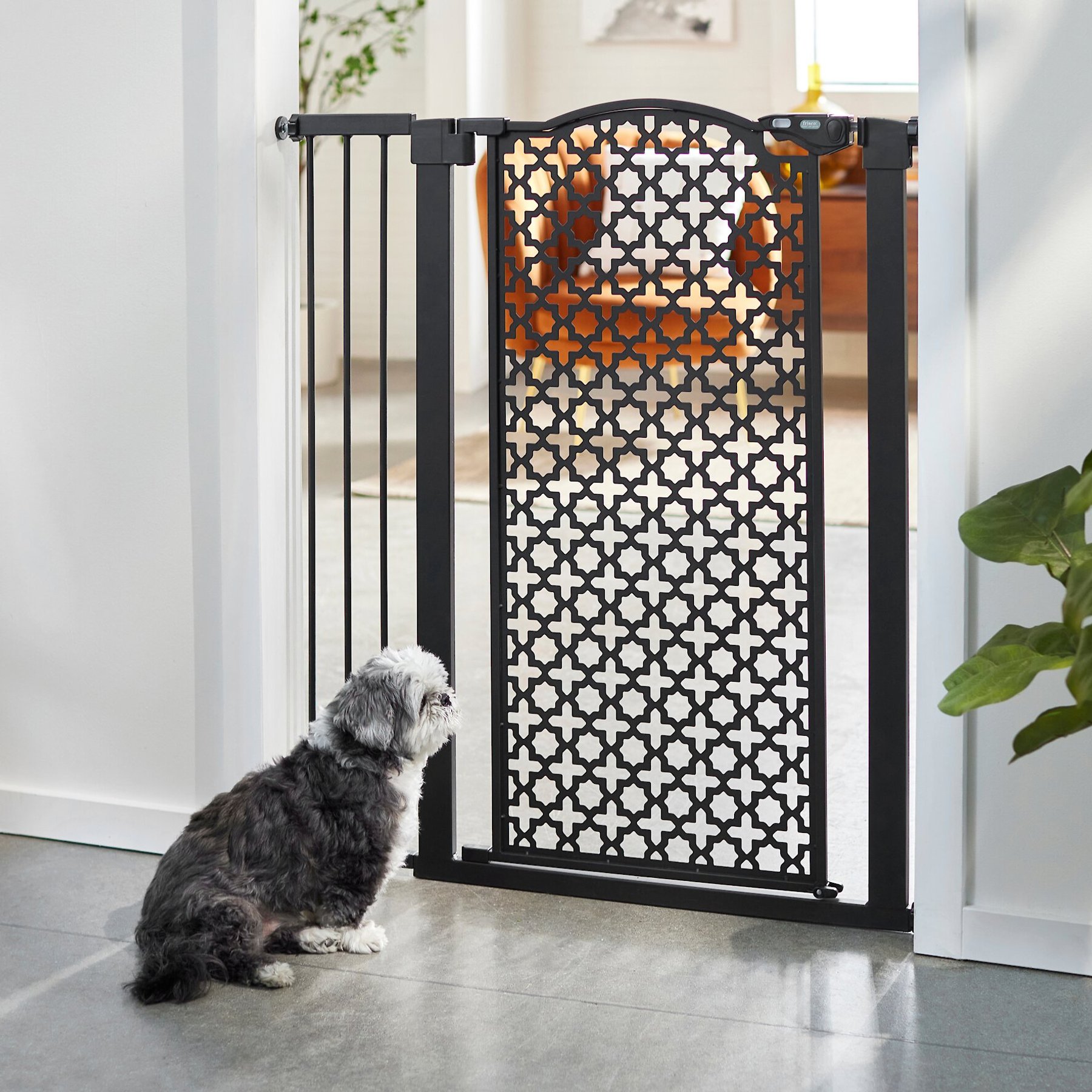FRISCO Metal Pattern Extra Tall Auto-close Dog Gate, 41-in, Black