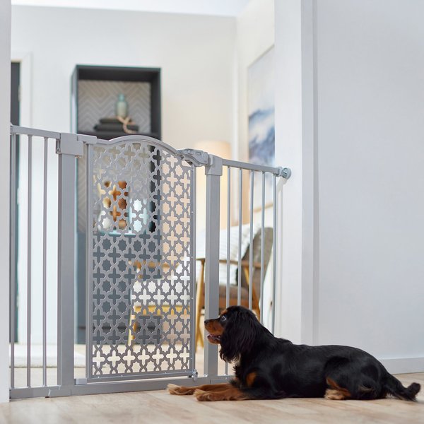 Safety Gate Extra Wide Dog Gate FRISCO Metal Pattern Extra Wide Auto-close  Dog Gate, 30-in, Gray
