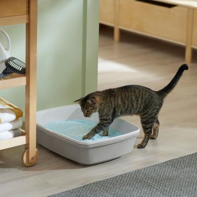 Show full view: Frisco Micro Crystal Unscented Non-Clumping Crystal Cat Litter, 7-lb bag slide 5 of 9