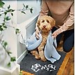 Show in main carousel: Frisco Microfiber Chenille Paw Print Mat, Small/Medium slide 5 of 6