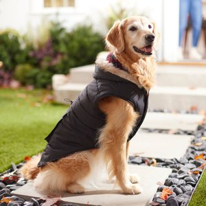 Frisco Mid-Heavyweight Cinching Insulated Dog & Cat Parka, Black/Red Plaid, Medium