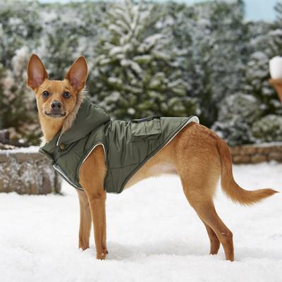 Show full view: Frisco Mid-Heavyweight Portland Insulated Dog & Cat Parka, Olive, Medium slide 8 of 11