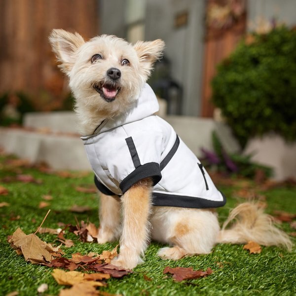 Frisco Mid-Heavyweight White Camouflage Dog & Cat Parka