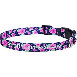 Frisco Midnight Floral Polyester Personalized Dog Collar, LG - Neck: 18 - 26-in, Width: 1-in