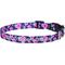 Show in main carousel: Frisco Midnight Floral Polyester Personalized Dog Collar, MD - Neck: 14 - 20-in, Width: 3/4-in slide 1 of 7