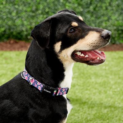 Show full view: Frisco Midnight Floral Polyester Personalized Dog Collar, MD - Neck: 14 - 20-in, Width: 3/4-in slide 5 of 7