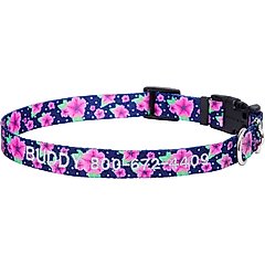 Frisco Midnight Floral Polyester Personalized Dog Collar, XS - Neck: 8 - 12-in, Width: 5/8-in