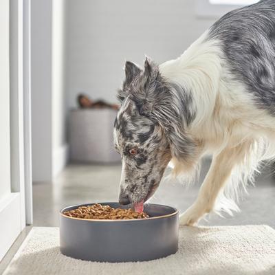 Show full view: Frisco Modern Gold Rim Ceramic Bowl, Deep Sea Blue, Large: 8 cup slide 3 of 7