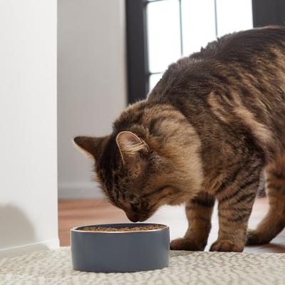 Show full view: Frisco Modern Gold Rim Ceramic Bowl, Deep Sea Blue, Small: 1.5 cup slide 4 of 8