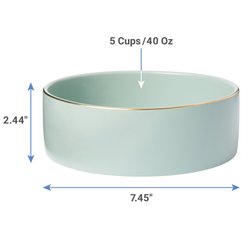 Frisco Modern Gold Rim Ceramic Bowl, Soft Seafoam, Medium: 5 cup slide 2 of 5