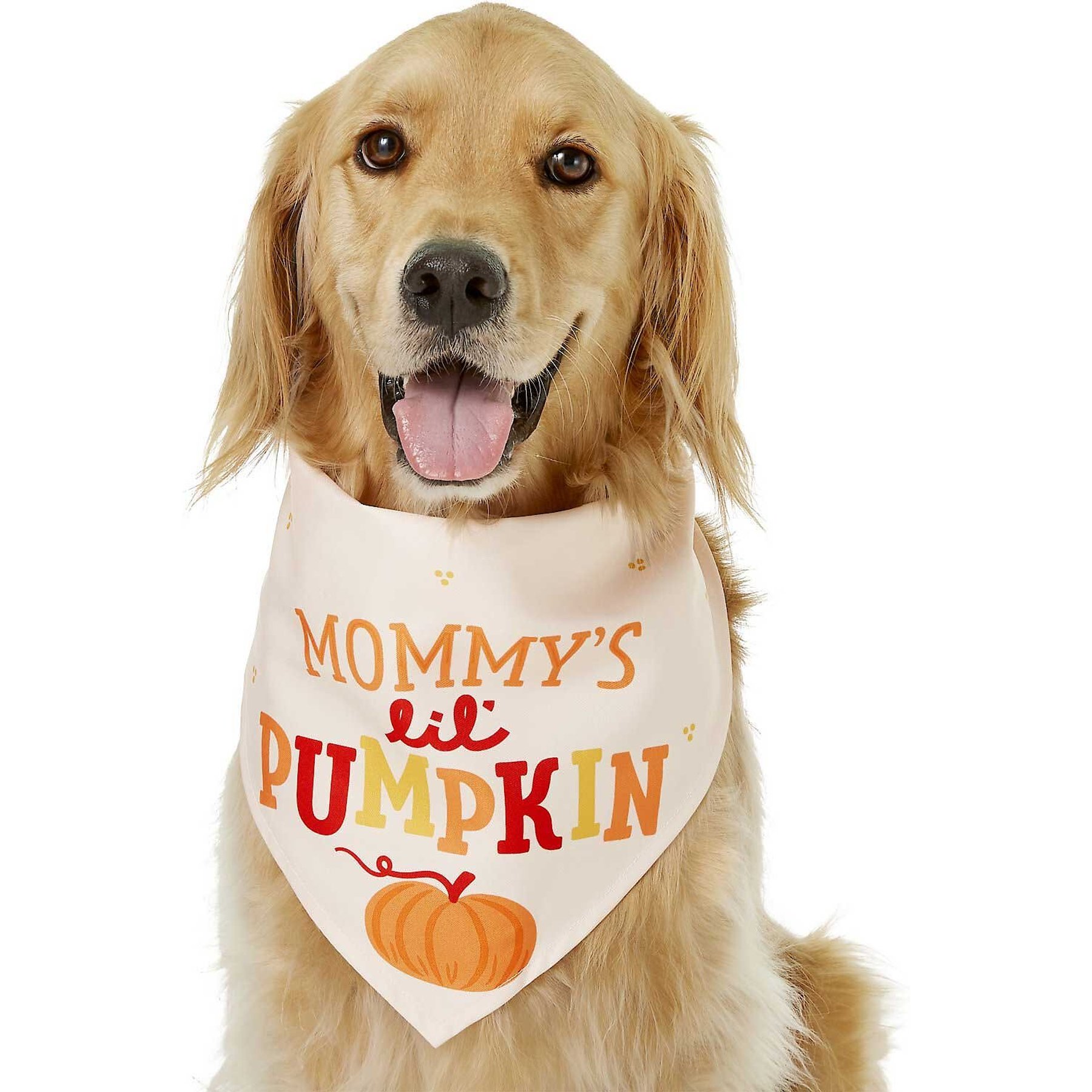 Frisco Mommy's Lil Pumpkin Dog & Cat Bandana Costume, Medium/Large