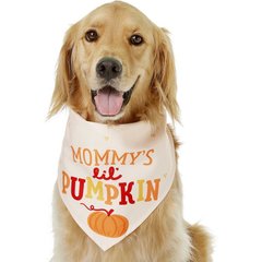 Frisco Mommy's Lil Pumpkin Dog & Cat Bandana Costume, Medium/Large