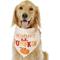 Show in main carousel: Frisco Mommy's Lil Pumpkin Dog & Cat Bandana Costume, Medium/Large slide 1 of 6