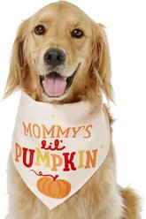 Frisco Mommy's Lil Pumpkin Dog & Cat Bandana Costume, Medium/Large