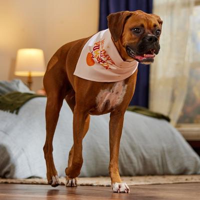 Show full view: Frisco Mommy's Lil Pumpkin Dog & Cat Bandana Costume, Medium/Large slide 4 of 6