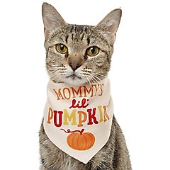 Frisco Mommy's Lil Pumpkin Dog & Cat Bandana Costume, X-Small/Small