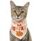 Show in main carousel: Frisco Mommy's Lil Pumpkin Dog & Cat Bandana Costume, X-Small/Small slide 1 of 9