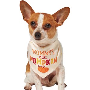 Frisco Mommy's Lil Pumpkin Dog & Cat Bandana Costume, X-Small/Small