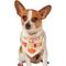 Show in main carousel: Frisco Mommy's Lil Pumpkin Dog & Cat Bandana Costume, X-Small/Small slide 4 of 9