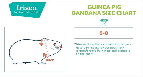 Show full view: Frisco Mommy's Lil Pumpkin Small Pet Bandana, Beige slide 2 of 7