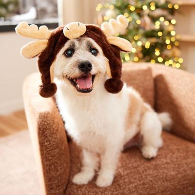 Show full view: Frisco Moose Dog Hat, Medium/Large slide 5 of 9