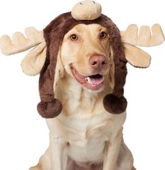 Frisco Moose Dog Hat, X-Large/XX-Large slide 1 of 6