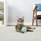 Show in main carousel: Frisco Moppy Ball Cat Toy, Blue & Frisco Moppy Ball Cat Toy, Pink slide 3 of 6
