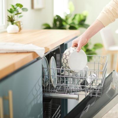 Show full view: Frisco Moroccan Design Stainless Steel Dog & Cat Bowl, Medium: 3 cup slide 7 of 8