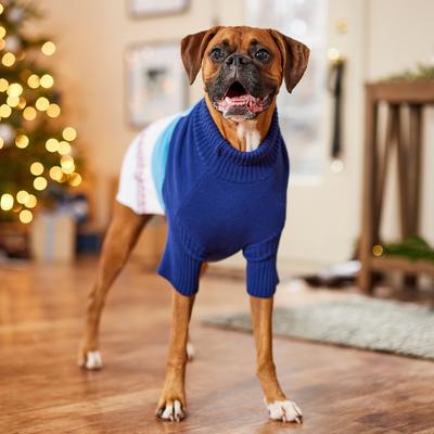 Show full view: Frisco Mountain Cabin Dog & Cat Sweater, X-Large slide 6 of 10