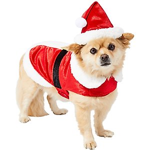 Frisco Mr. Claus Dog & Cat Costume, Medium