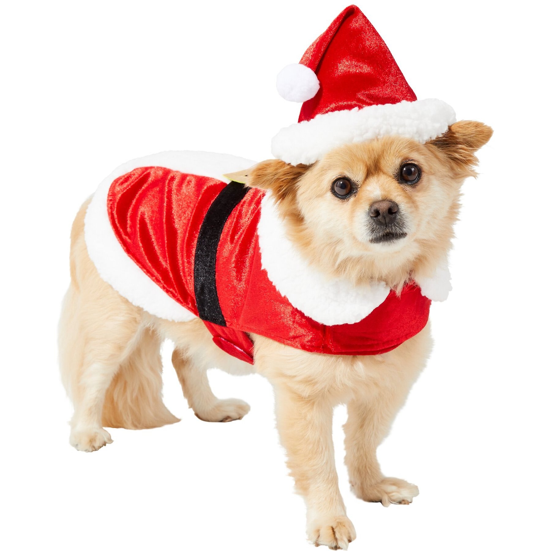 Frisco Mr. Claus Dog & Cat Costume, X-Large