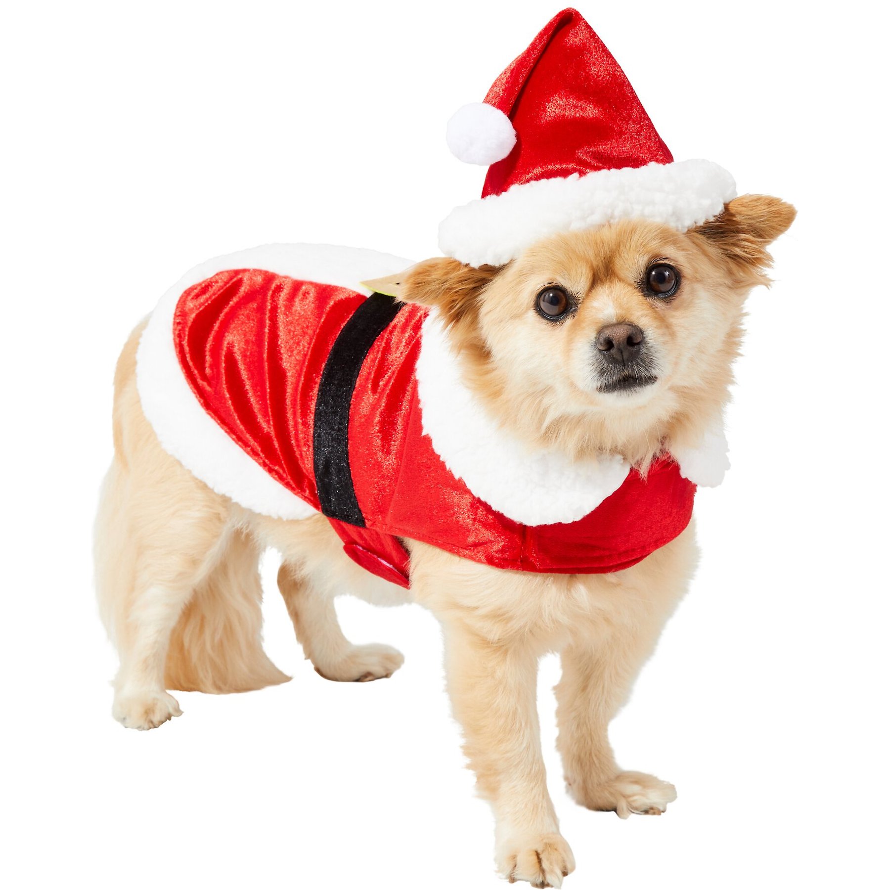 Frisco Mr. Claus Dog & Cat Costume, XX-Large