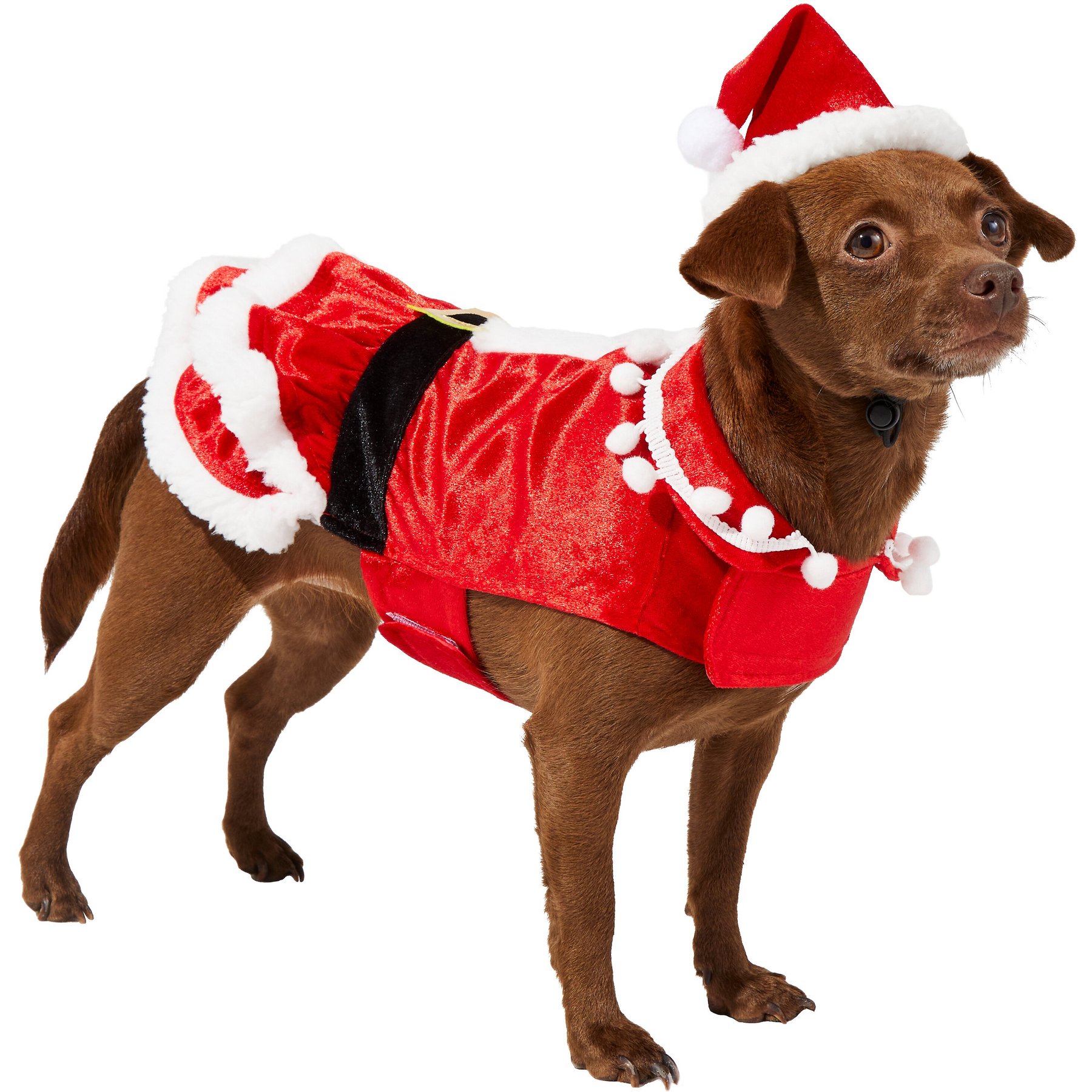 Frisco Mrs. Claus Dog & Cat Costume, Medium