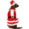 Show in main carousel: Frisco Mrs. Claus Dog & Cat Costume, Medium slide 3 of 8