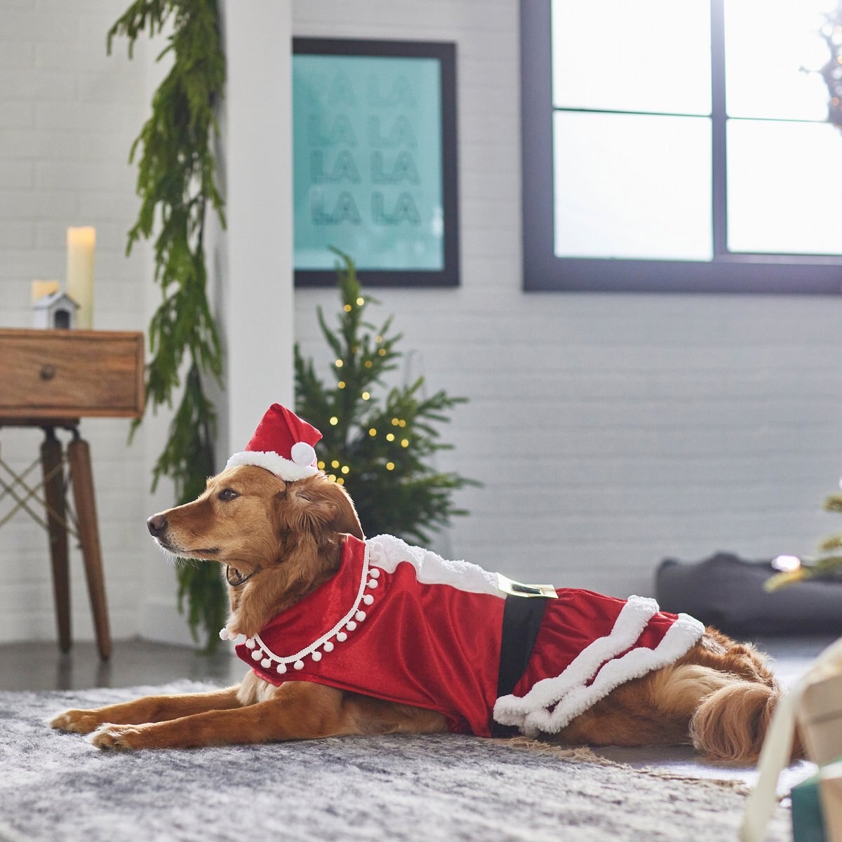 Hip Doggie Mrs. Claus Dog Dress